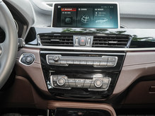 2020 RX2 sDrive25i IM\b
