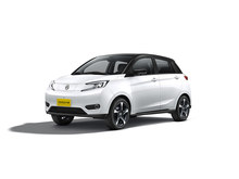 2023 YOUNGС 408KM w
