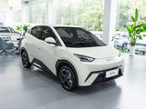 2023款 海鸥 自由版